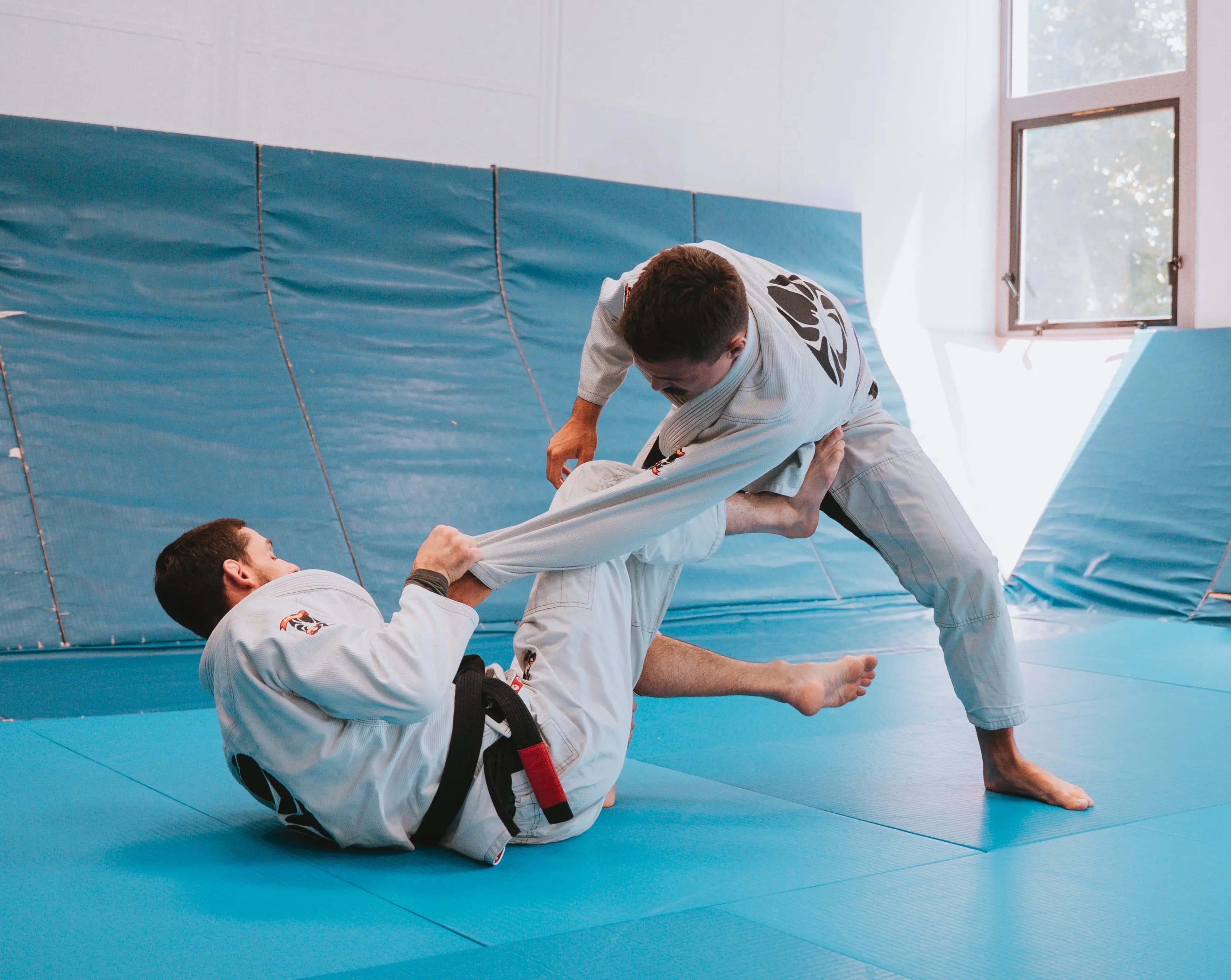 Jiu Jitsu Brésilien