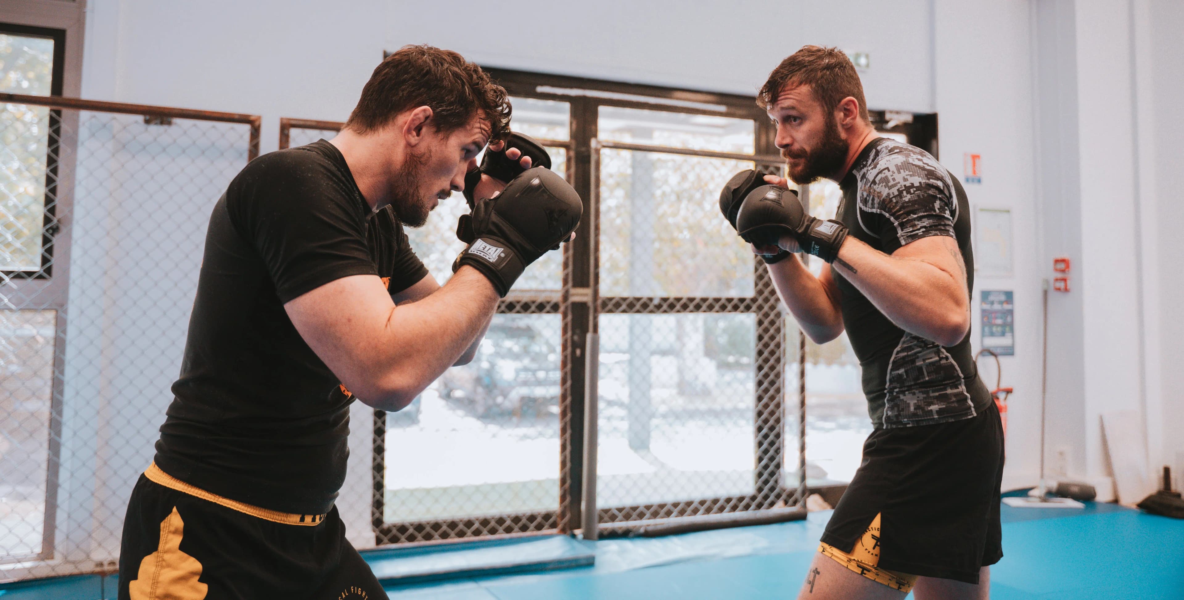 MMA (Mixed Martial Arts)