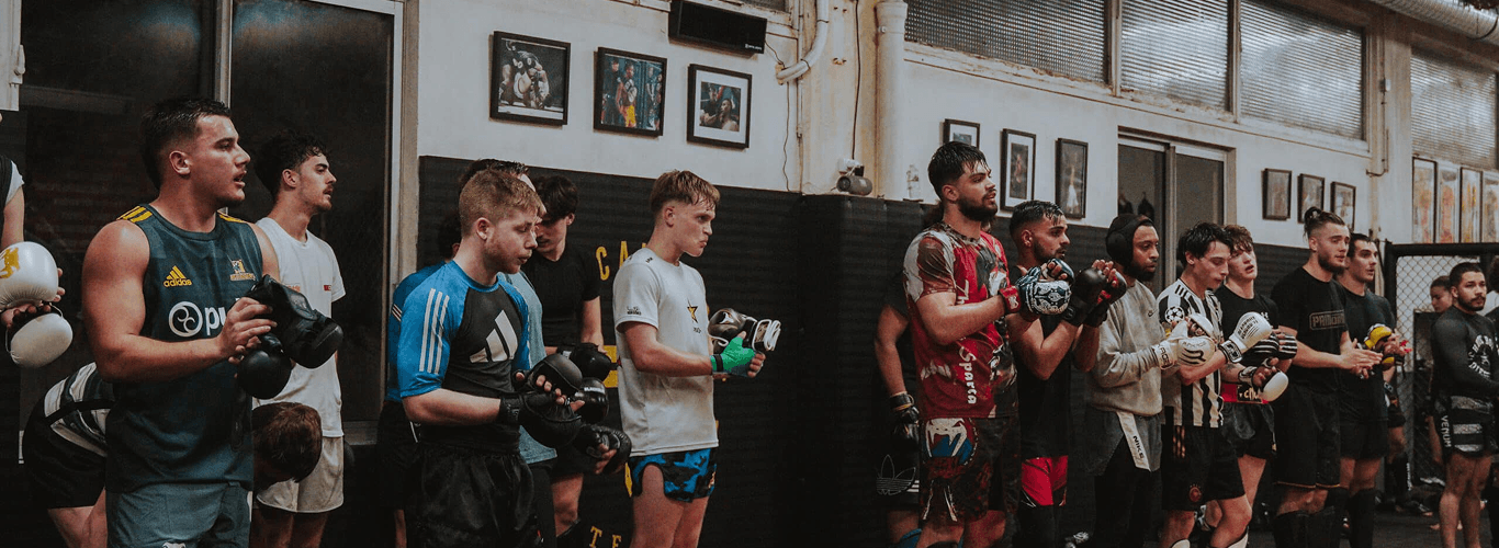 PUGILAND Training Background