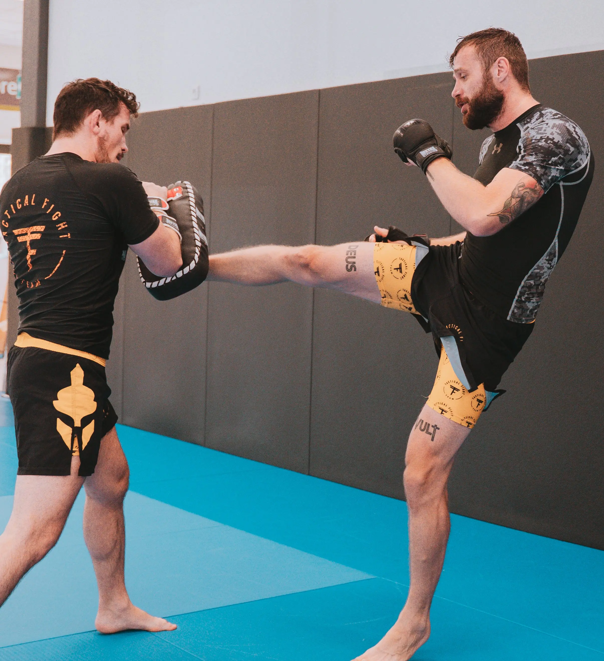PUGILAND Training Session